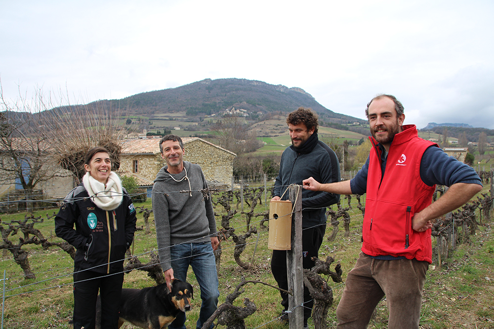 Clairette et biodiversité