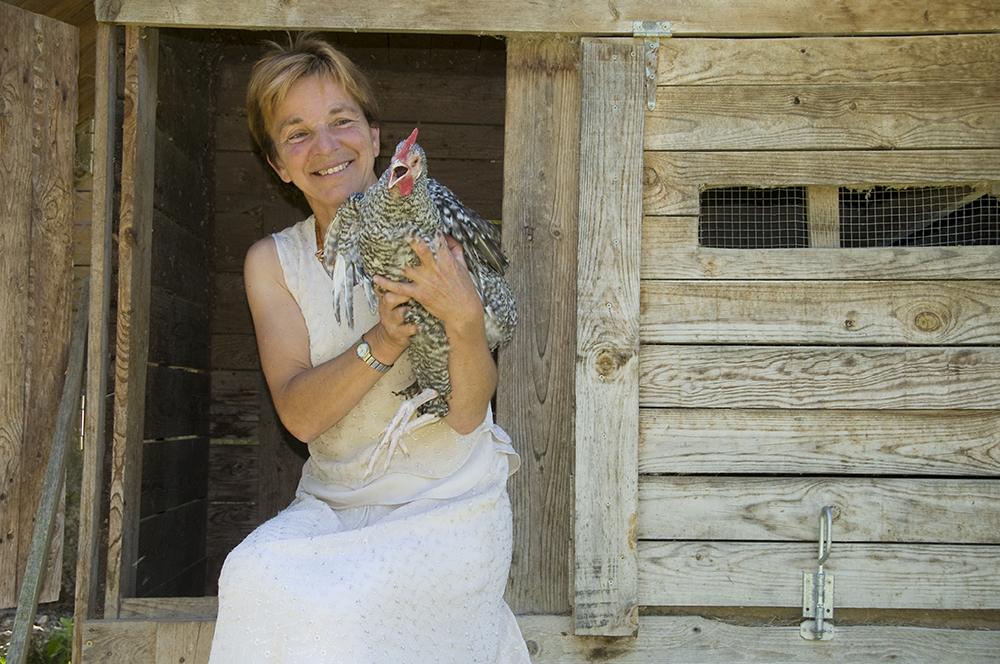 Poule grise du Vercors