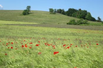 Une agriculture soucieuse de son environnement