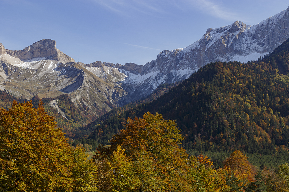 Lus-la-Croix-Haute forêt