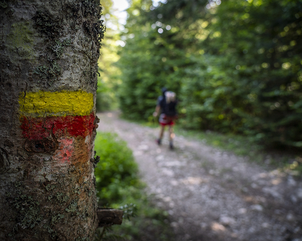 Les chemins balisés