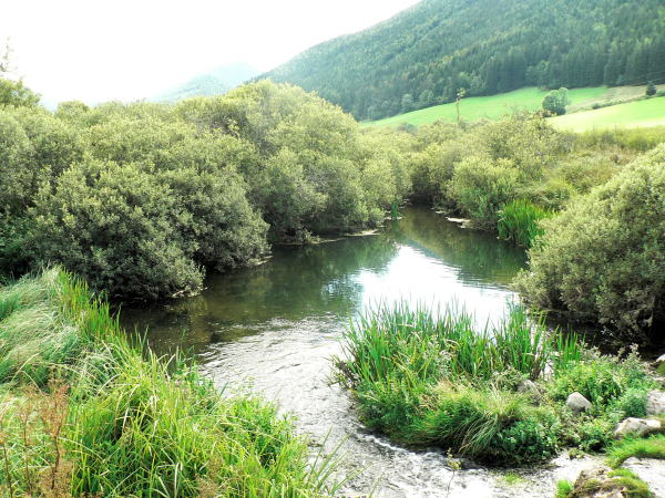 La sortie des eaux