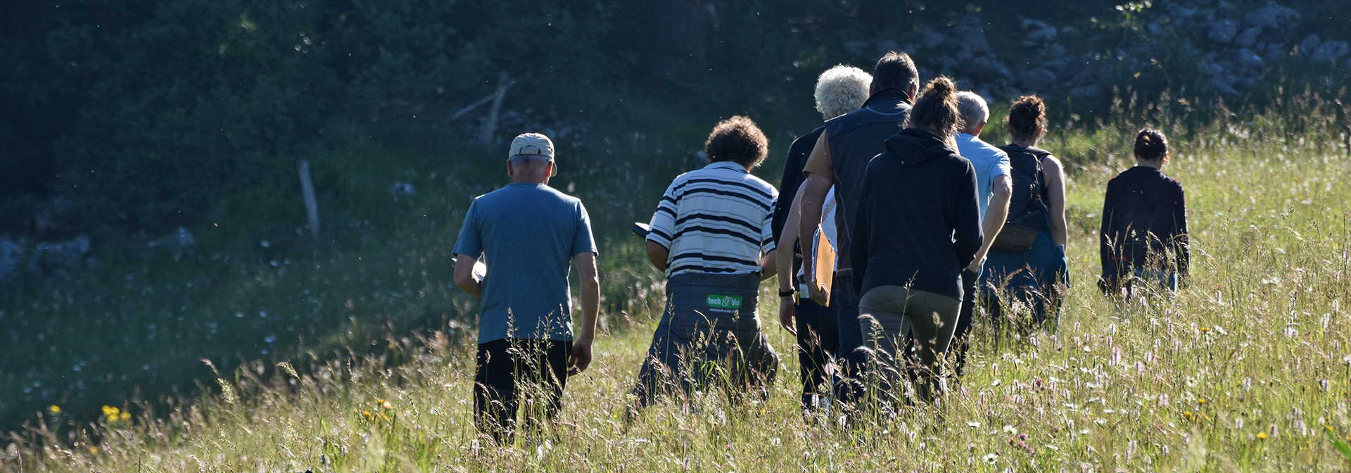 Jury concours local des prairies fleuries