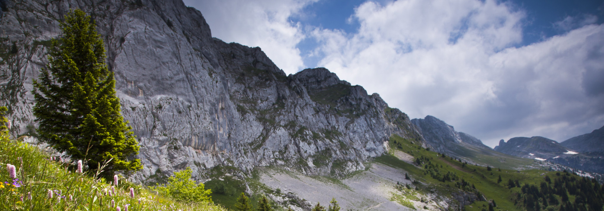 Sous les Rochers du Ranc des Agnelons Photo S. et M. Booth