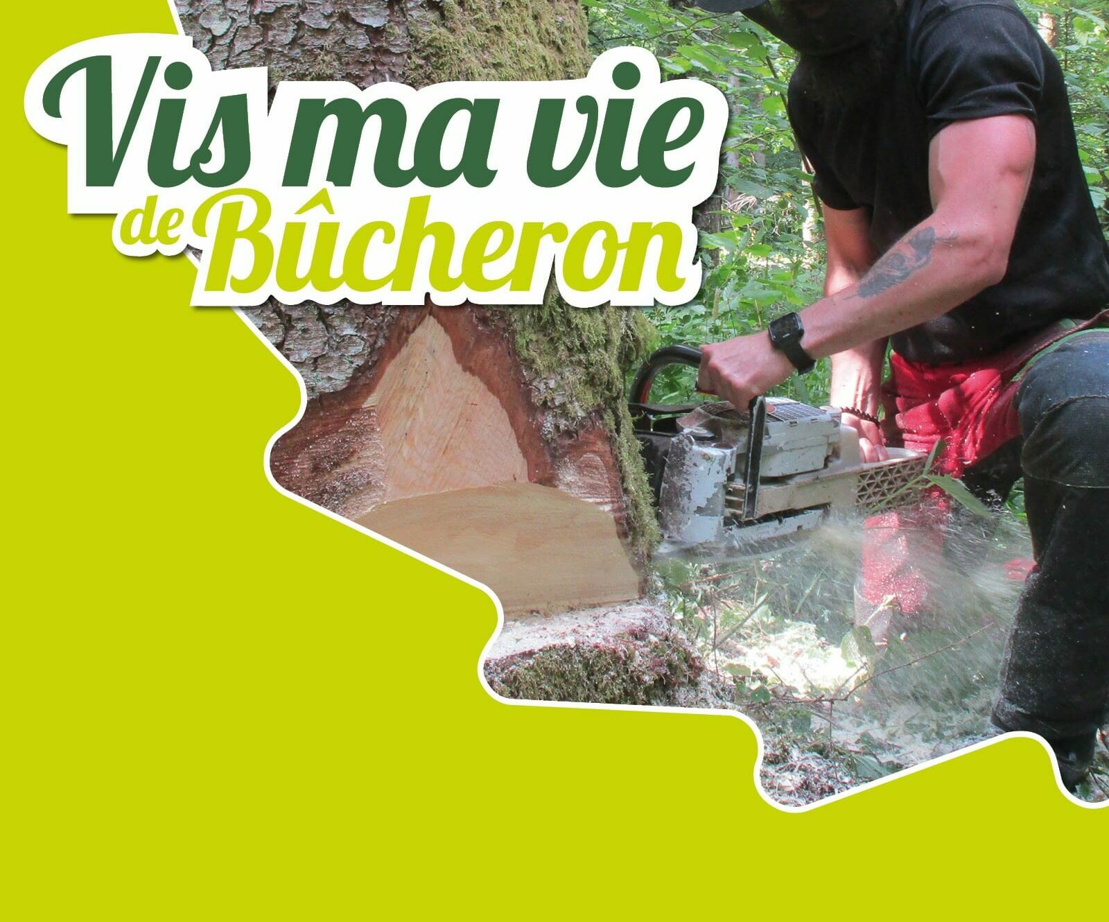 Vis ma vie de Bûcheron