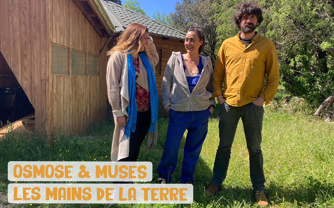 Spectacle "les mains de la terre"