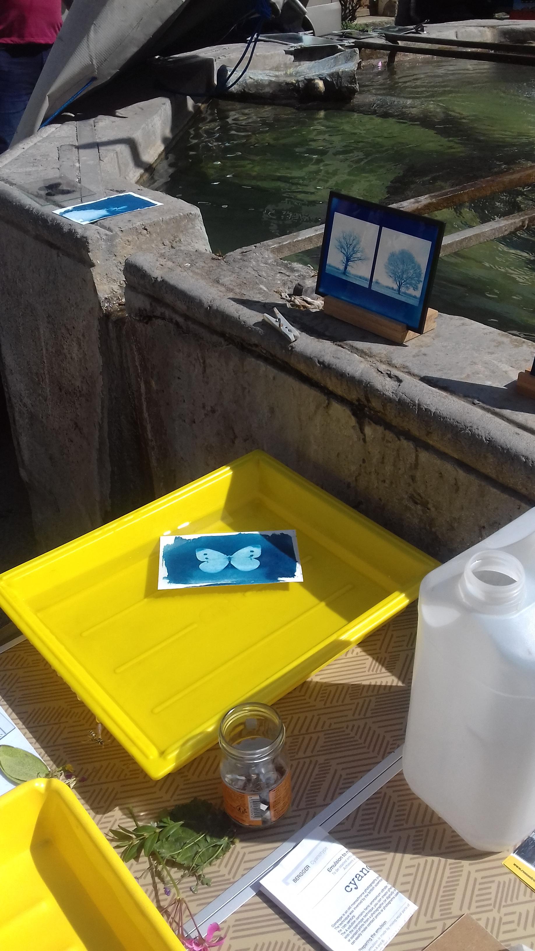 Atelier cyanotype