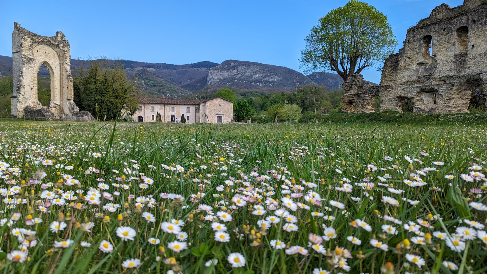 Visite Flash Couvent des Carmes ou site delphinal Visite Flash Couvent des Carmes ou site delphinal
