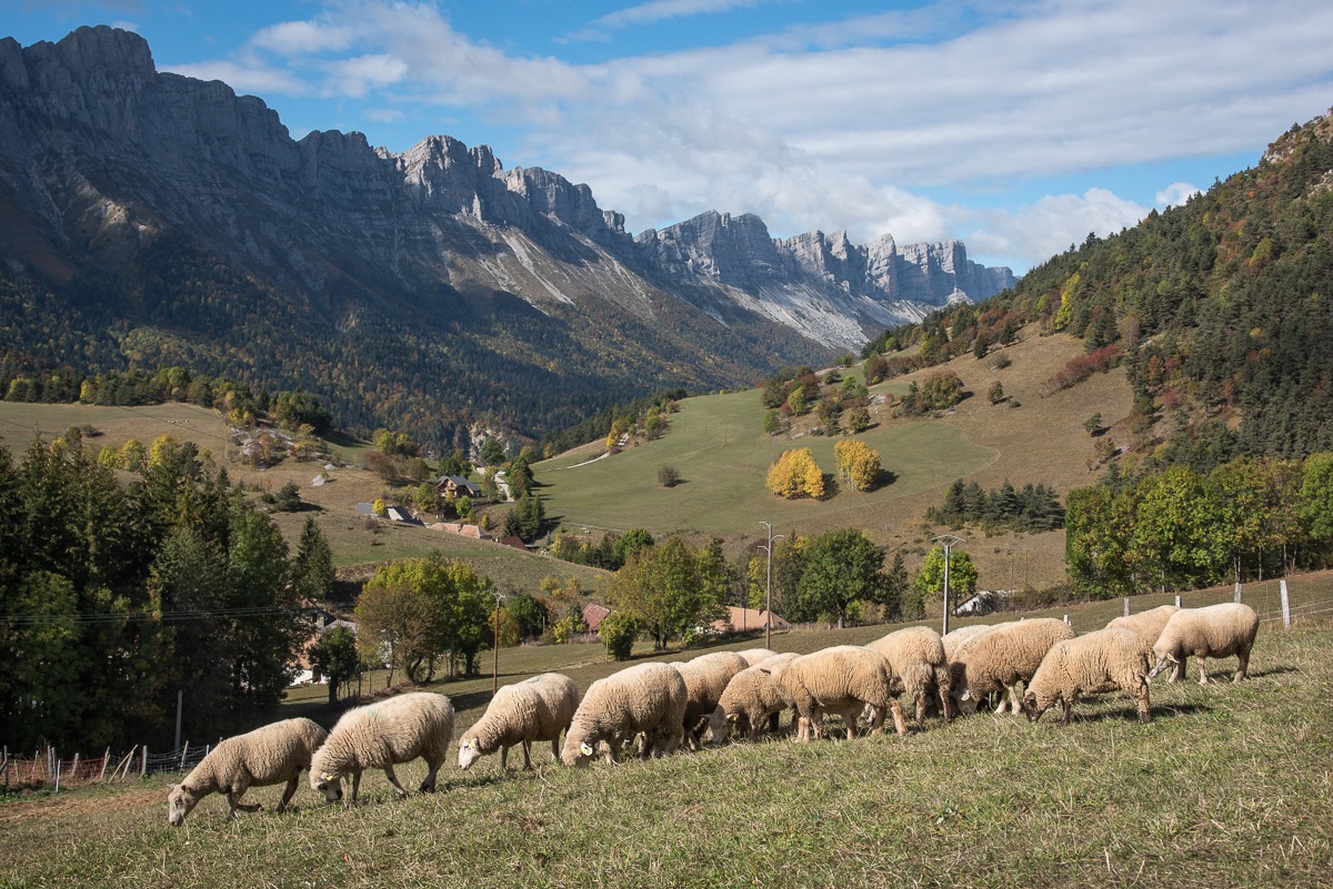 Marché de producteurs à la Ferme du Grand Veymont