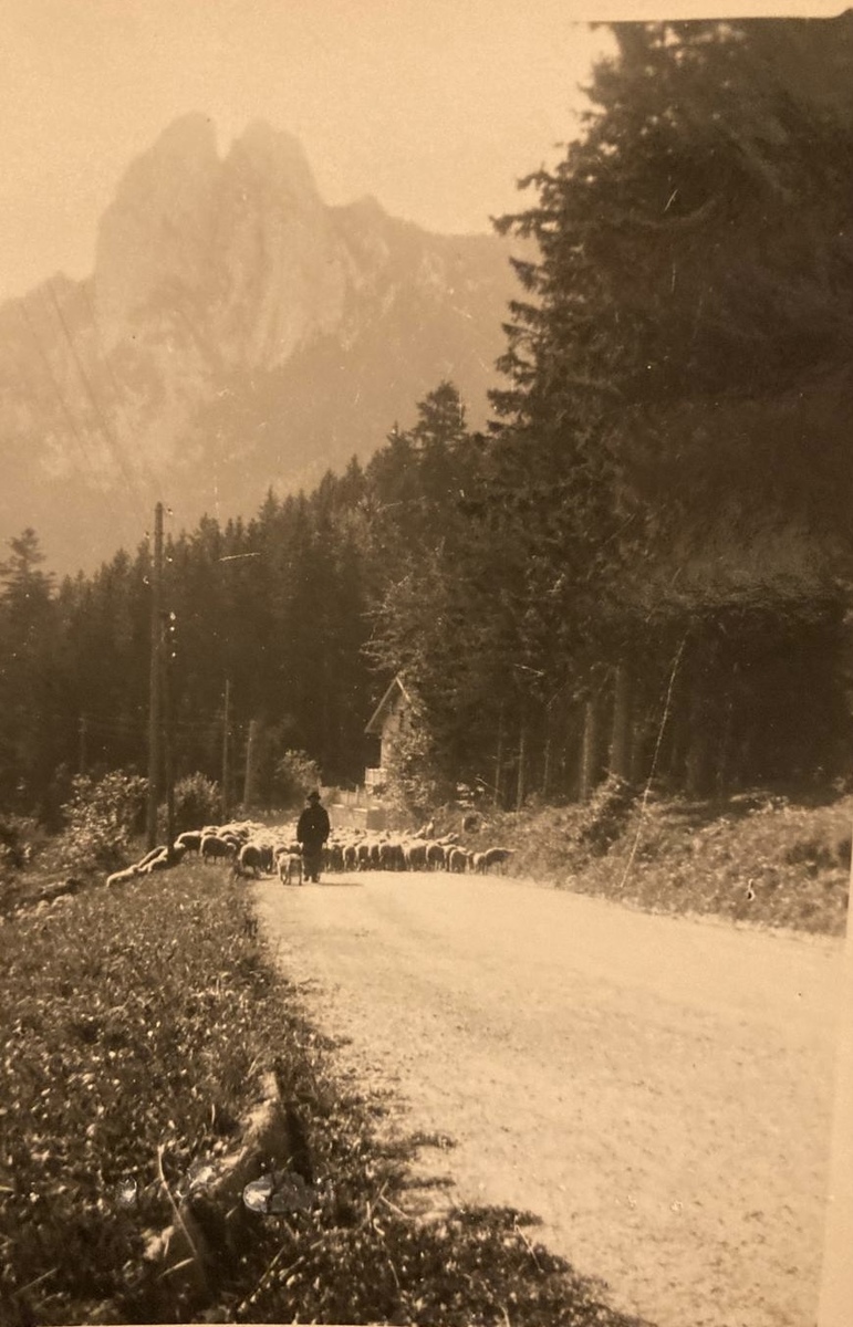 Histoire des fermes et évolution des paysages à Saint-Nizier-du-Moucherotte Histoire des fermes et évolution des paysages à Saint-Nizier-du-Moucherotte