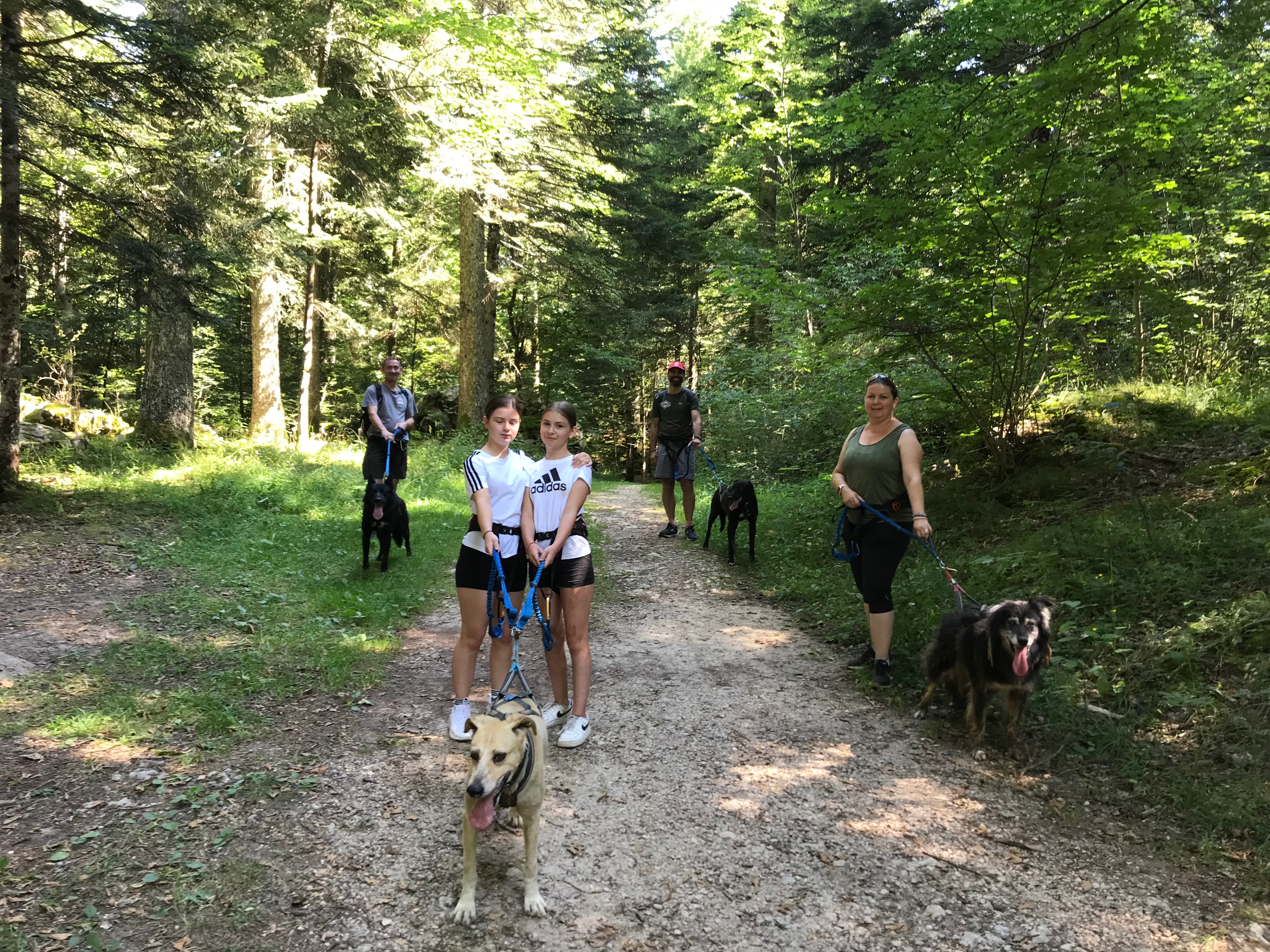 Rencontre avec la meute d'Alaskan Vercors