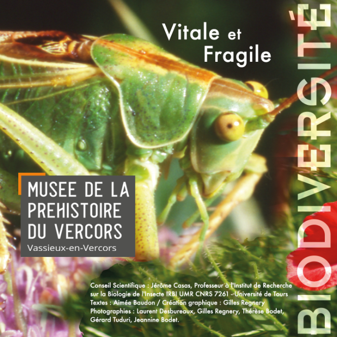 Biodiversité en danger