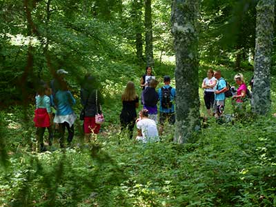 Visite hors les murs maquisards