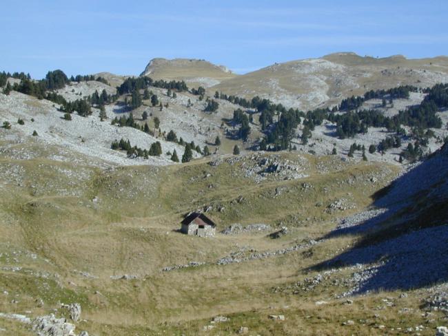 Hauts-Plateaux