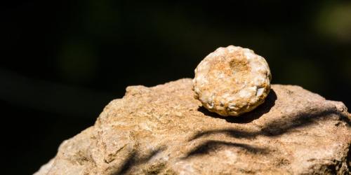 Géologie de la vallée fossile des Rimets