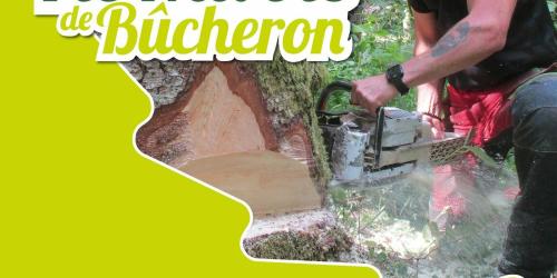 Vis ma vie de Bûcheron