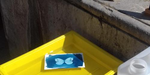 Atelier cyanotype