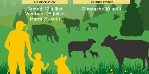 Fête des Alpages - Ma journée avec un troupeau