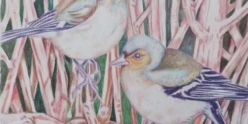 Vernissage de l'exposition "Les animaux dénaturés"