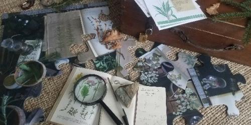 Escape Game "Secret de plantes” par Culture Caillou