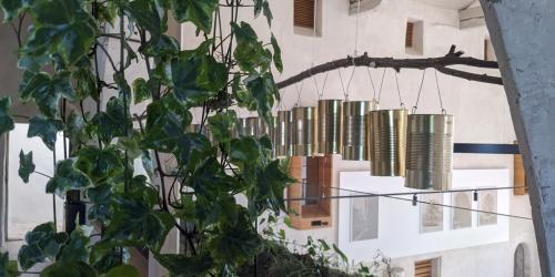 Exposition temporaire "Relations aux vivants (titre provisoire?)"