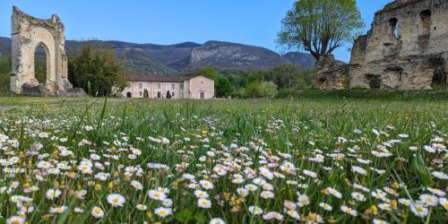 Visite guidée du Couvent des Carmes et du site delphinal