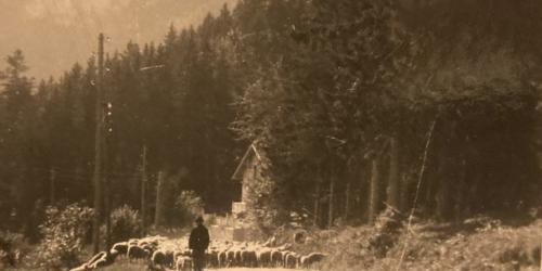 Histoire des fermes et évolution des paysages à Saint-Nizier-du-Moucherotte