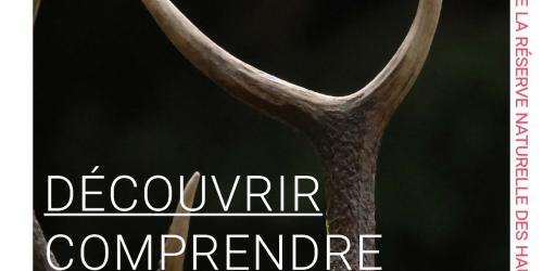 Projection du film "Au coeur du Parc naturel régional du Vercors" suivi d'un échange avec le public
