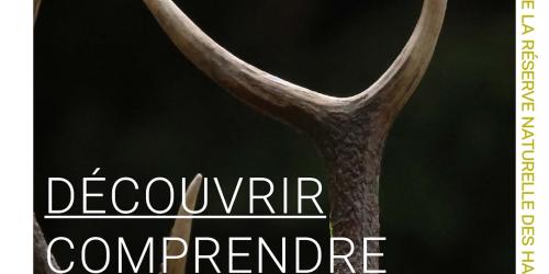 Projection du film "Au coeur du Parc naturel régional du Vercors" suivi d'un échange avec le public