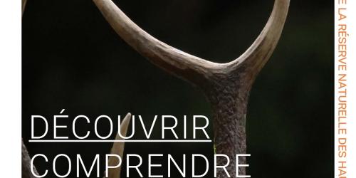 Projection du film "Au coeur du Parc naturel régional du Vercors" suivi d'un échange avec le public