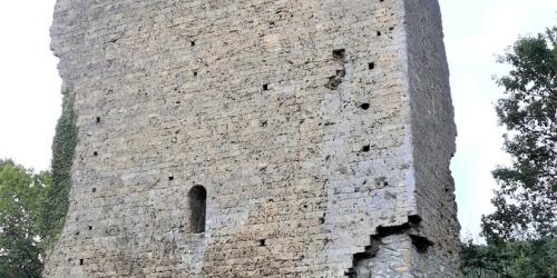 Fortifications et châteaux fort  à Saint Quentin sur Isère, Animation médiévale