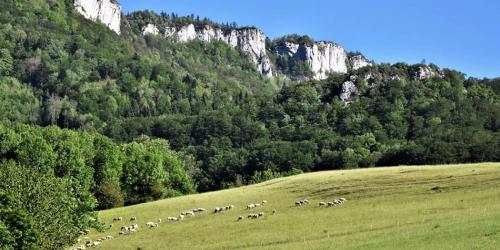 Paysage de Bouvante